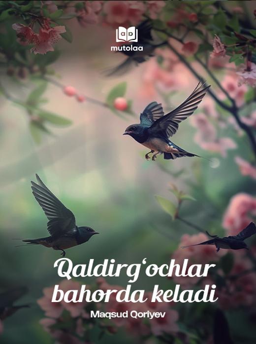 Xususiy voyeur fotosuratlari