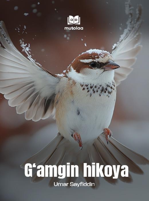Gʻamgin hikoya